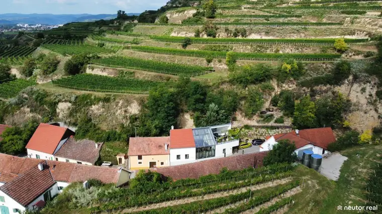 Einzigartige Liegenschaft in der Wachau | Ausgebautes Weinkeller-Loft mit WOW-Faktor