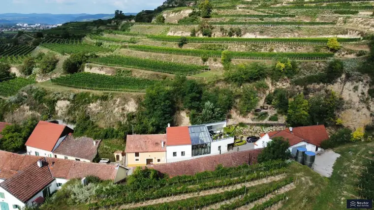 Einzigartige Liegenschaft in der Wachau | Ausgebautes Weinkeller-Loft mit WOW-Faktor