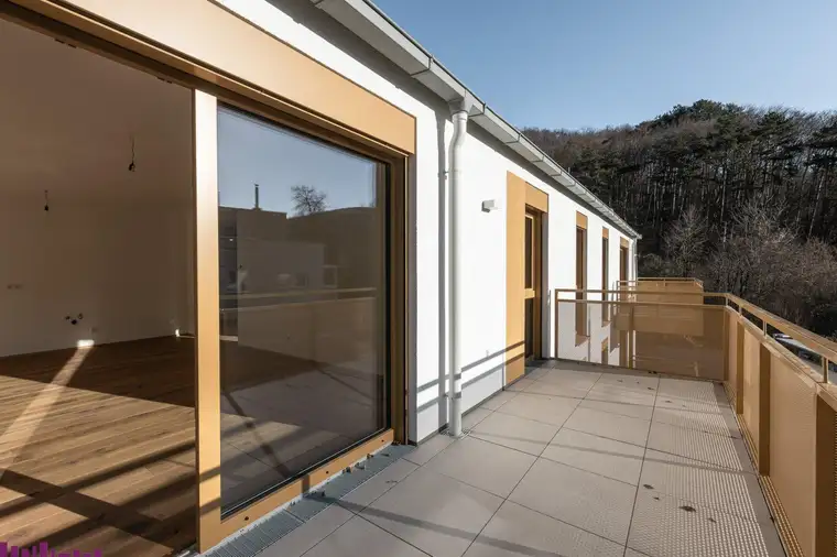 Sonnig, modern, gemütlich - mitten im Waldgebiet - PUR WOHNEN - bezugsfertig!