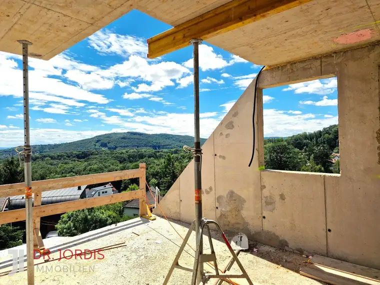 Einfamilienhaus-Niedrigenergiehaus mit Dachterrassenblick auf den Wienerwald, in Fertigstellung