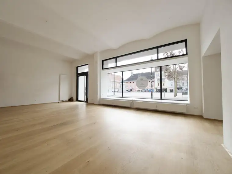 Exklusive Büro- und Repräsentationsfläche direkt am Neuen Platz zu MIETEN !