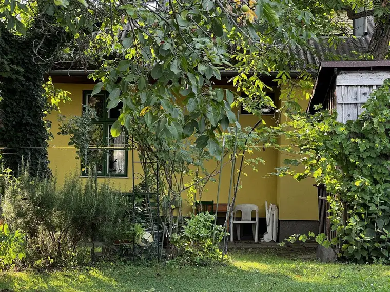 Entzückendes Einfamilienhaus mit Garten in zentraler Lage Deutsch-Wagrams