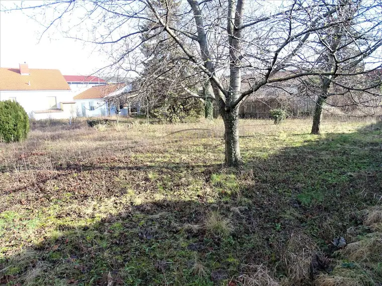 2231m² Baugrund in Schwechat-Mannswörth