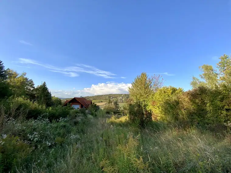 1953m² Grundstücksfläche - direkt am Bisamberg - Stadtvilla mit parkartigen Garten - privat Zugang zum Wald - Grünblick - Ruhelage
