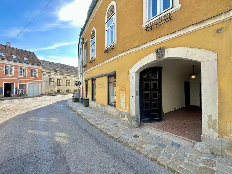 Alexander Ringsmuth, Alexander Ringsmuth GmbH