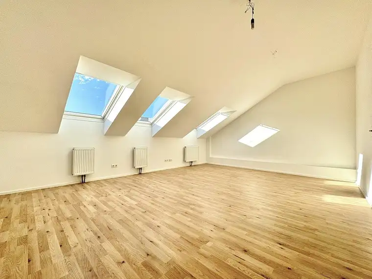 Magalie Felsinger, Alexander Ringsmuth GmbH