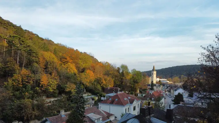 Großzügiges Grundstück in außergewöhnlicher Lage am Rande des Lainzer Tiergartens!