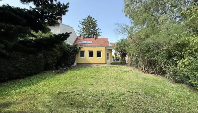 Alexander Ringsmuth, Alexander Ringsmuth GmbH