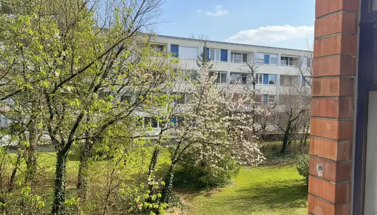 Vollrenovierte Dreizimmer-Wohnung mit großem Kellerraum