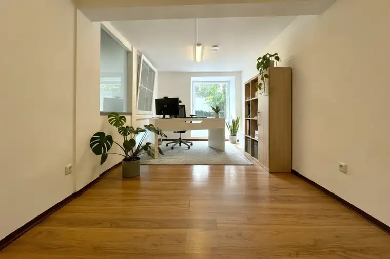 Alexander Ringsmuth, Alexander Ringsmuth GmbH