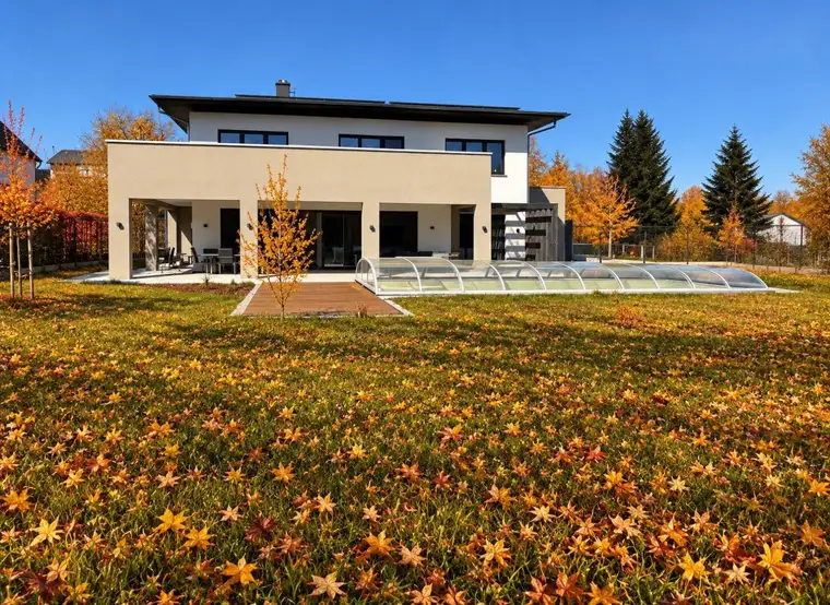 Alexander Ringsmuth, Alexander Ringsmuth GmbH