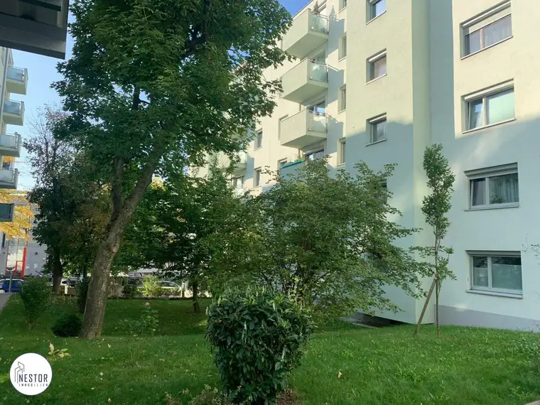 Renoviert | Charmante 3 Zimmer Wohnung mit Balkon!