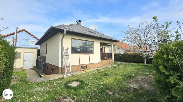 Boro Mitranic, NESTOR Immobilien GmbH & Co KG