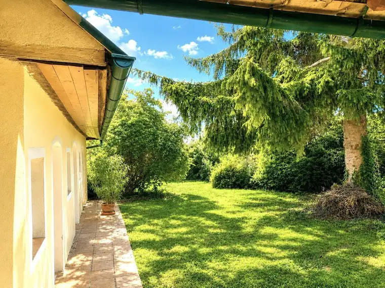 Historisches Bauernhaus im Herzen von Maissau – Ein verstecktes Gartenparadies mit unverwechselbarem Charakter