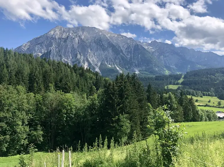 Exklusive Erstbezugswohnung in Tauplitz mit Blick auf den majestätischen Grimming