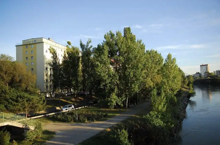 Schöne, renovierte Familienwohnung: 3 Zimmer (4 Zi möglich) mit Loggia, Nähe U6 und Donaukanal