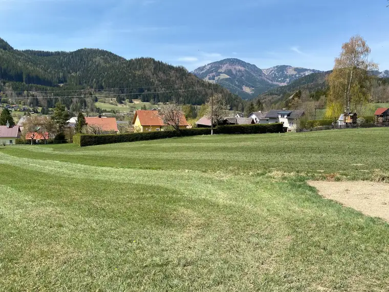 Sonniger Baugrund in Ruhelage - Privatverkauf