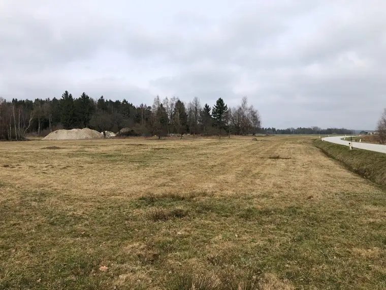 3,2 ha großer aufgeschlossener Baugrund mit touristischer Widmung, Bauklasse I, II