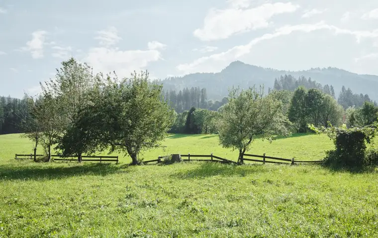 Großzügiges Grundstück mit idyllischer Aussicht in vorteilhafter Lage von Wörgl I Bezirk Kufstein für Wohnen und Gewerbe