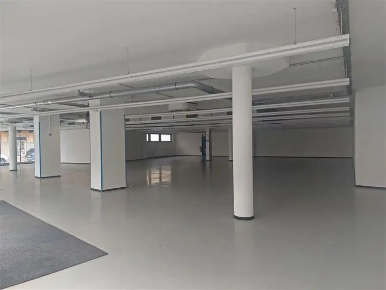 Klaudio Zefi, Zefi Immobilien GmbH