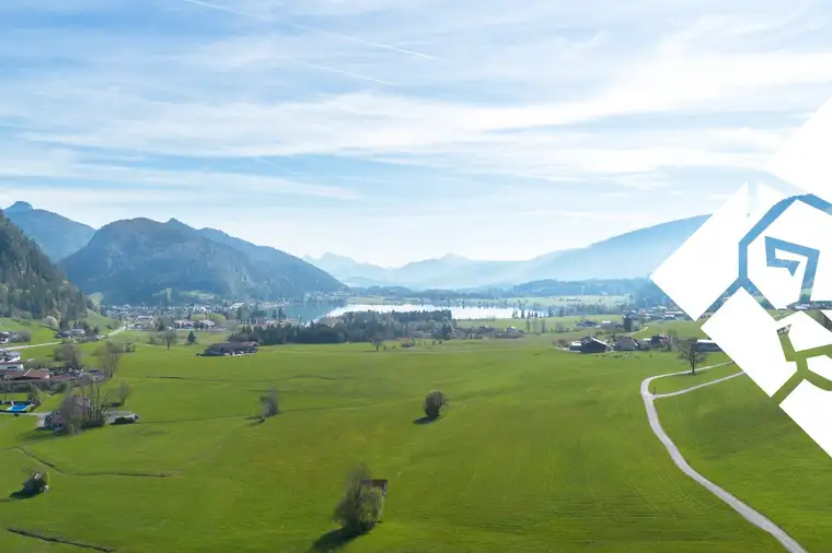 Klaudio Zefi, Zefi Immobilien GmbH