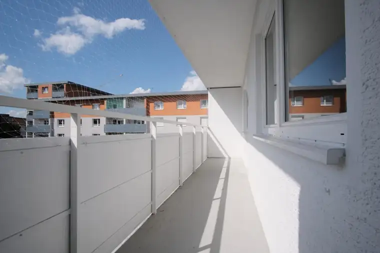 WG-Zimmer zu vermieten - neu saniert!