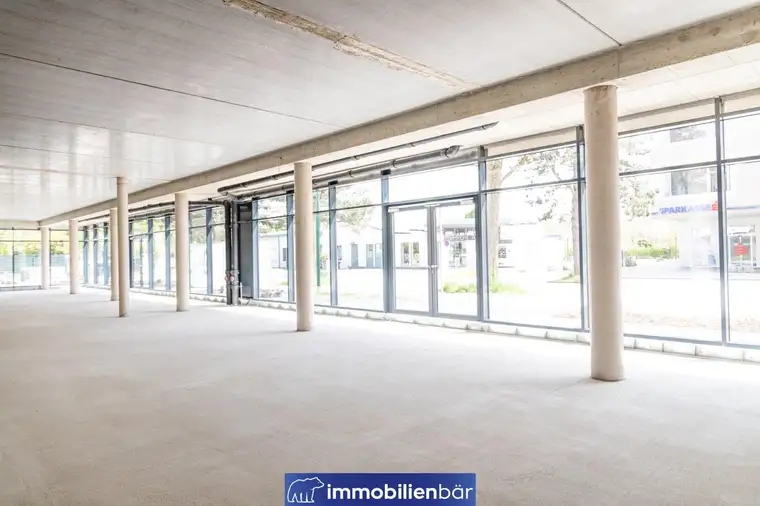 Moderne und flexible Geschäftsfläche voller Potenzial in Wels - GF1