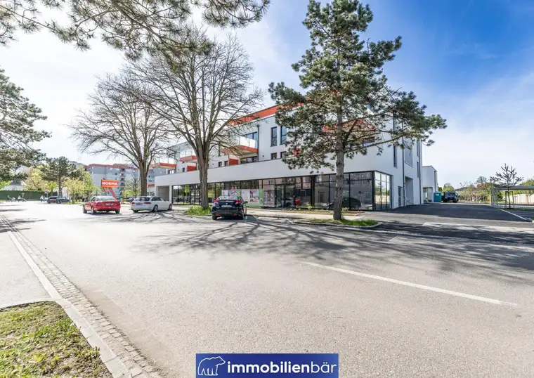 Große &amp; teilbare Geschäftsfläche in Wels - Modern, flexibel und voller Potenzial