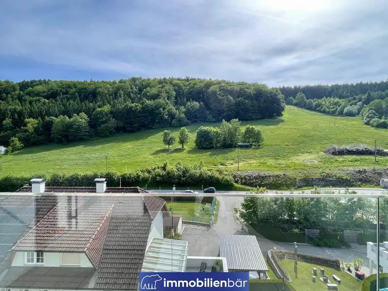 2-Zimmer Traumwohnung über den Dächern von Linz - ab sofort verfügbar