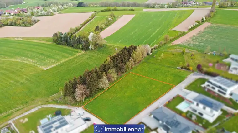 Traumhaftes großes Grundstück mit Aussicht - Utzenaich