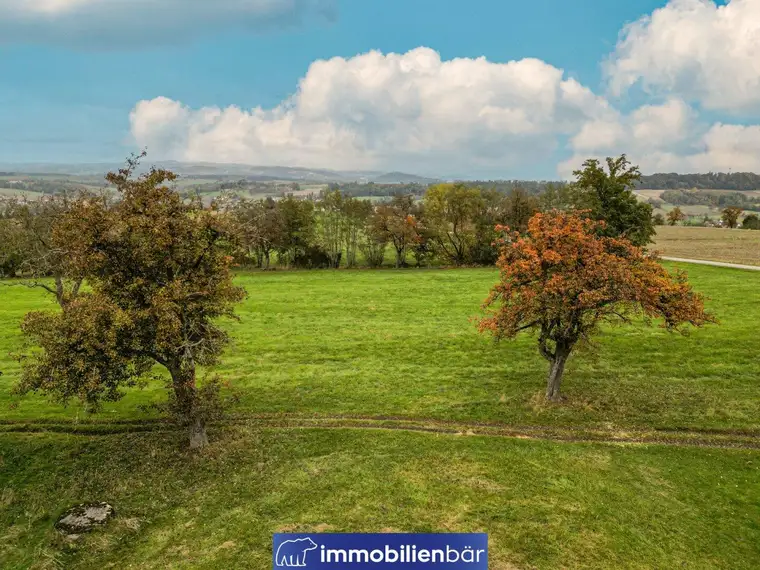 Traumplatzerl - 2449m² großes, einzigartiges Grundstück in nahezu Alleinlage