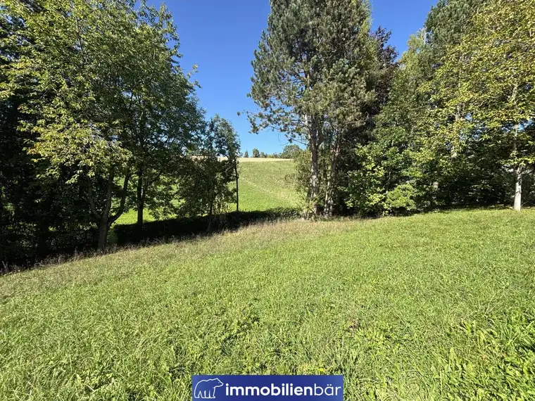 Baugrundstück in naturnaher Lage in Riedau - Grundstück Nr. 2