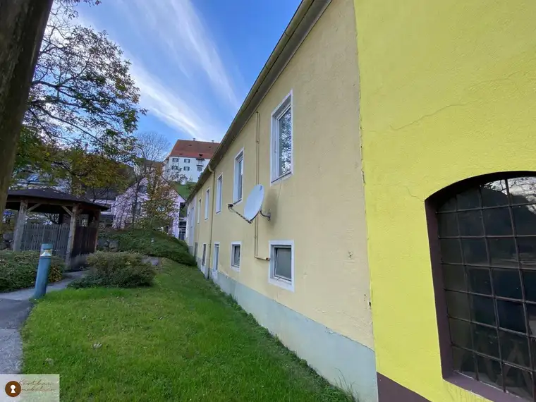Attraktives Investitionsobjekt: Vielseitiges Zinshaus mit Potenzial in der Kärntnerstraße – Ihr zukünftiger Firmenstandort zum Kauf