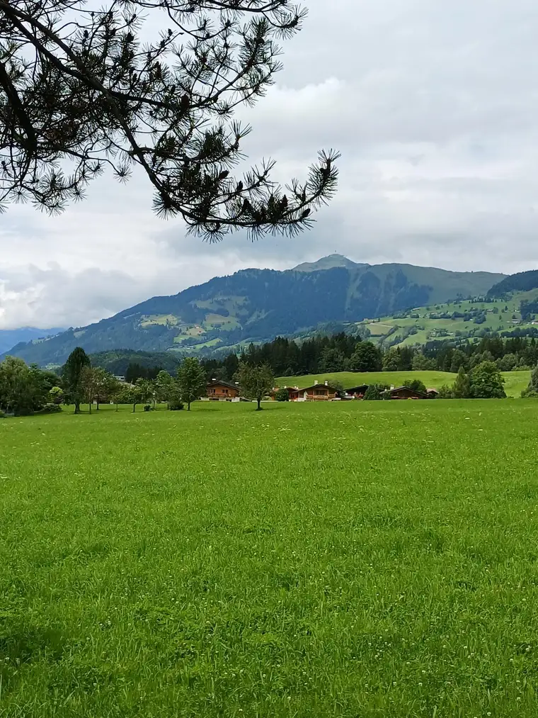 Grundstück mit Altbestand in Aurach zu verkaufen 