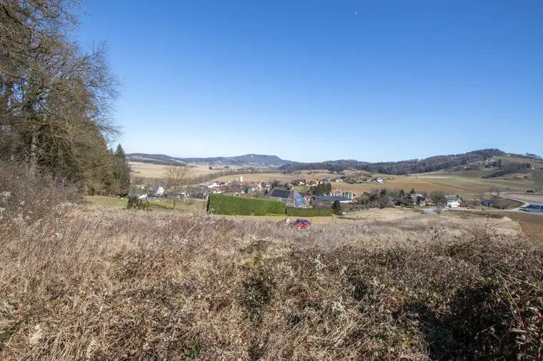 Sonniges Grundstück mit Bauprojekt!