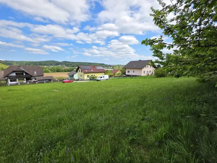 Sonniges Grundstück in leicht erhöhter Lage!