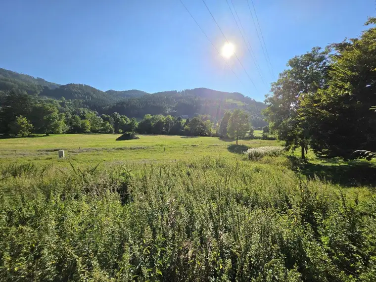 Sonniges Wohnerlebnis mit schöner Aussicht!