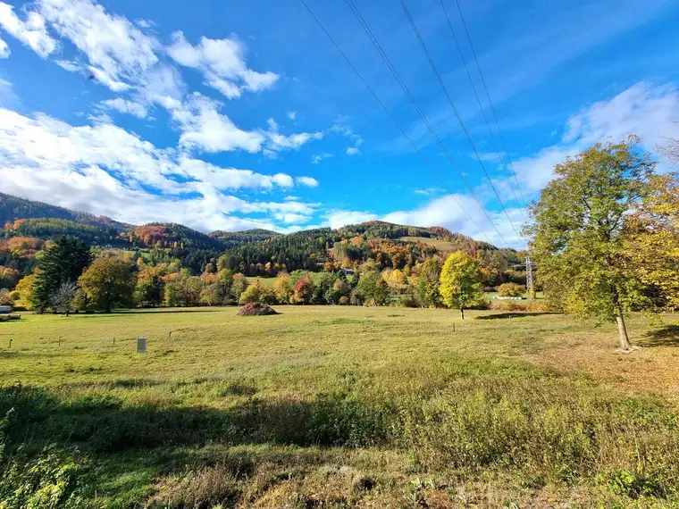 Sonniges und abgelegenes Grundstück mit Weitblick!