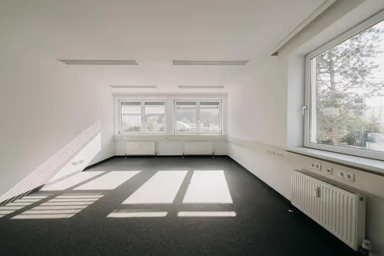 André Seder, André Seder Immobilien GmbH
