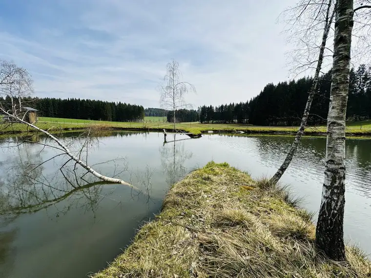 Idyllisches Freizeitdomizil in absoluter Ruhelage – Ein Paradies für Naturliebhaber