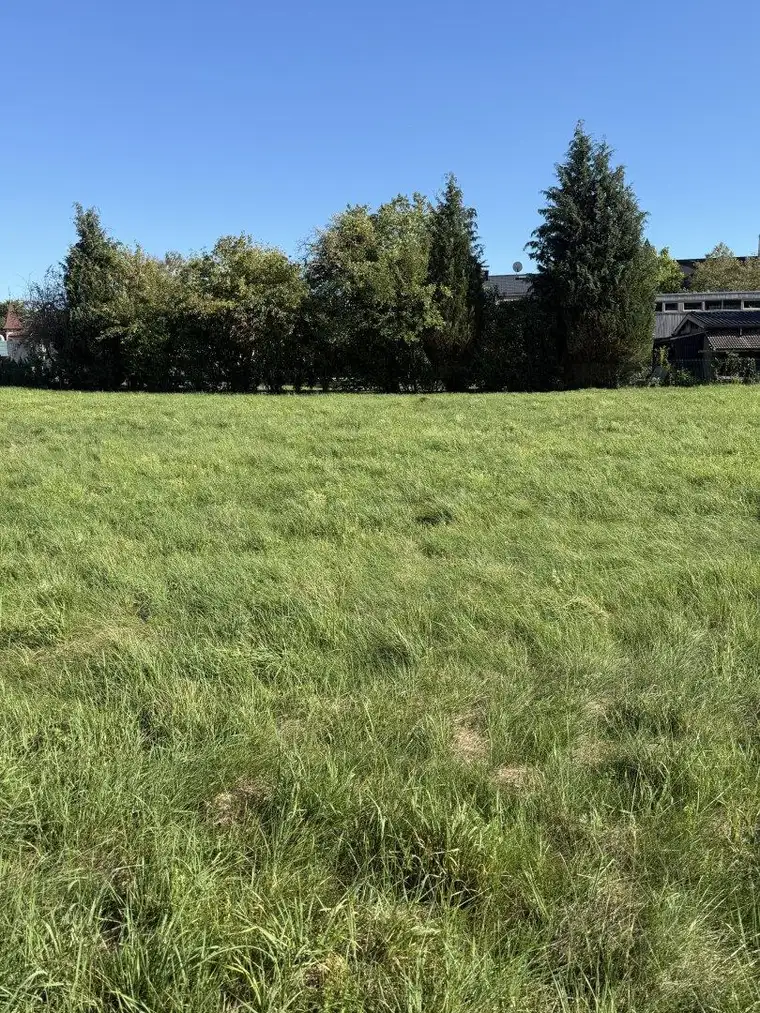 Grundstück(e) in zentraler Lage um nur 160.000 €!