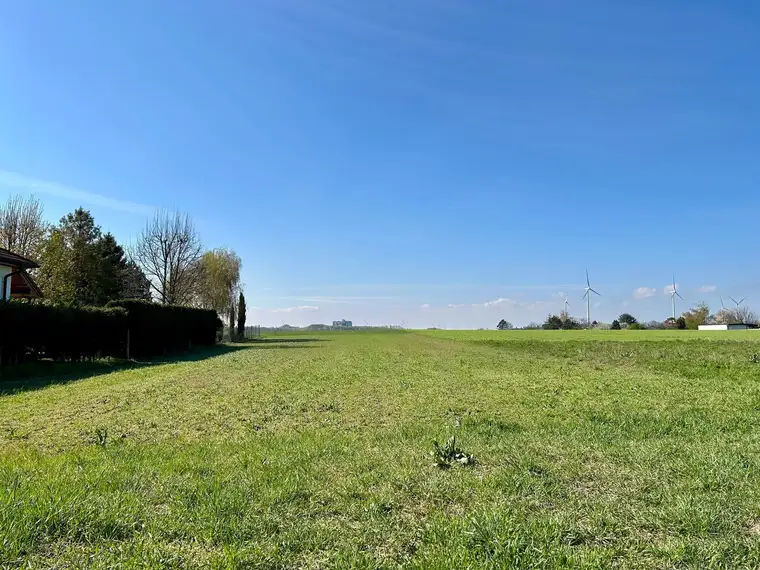 Großes Baugrundstück mit Fernblick - 1.500 m² Bauland in Ruhelage, provisionsfrei