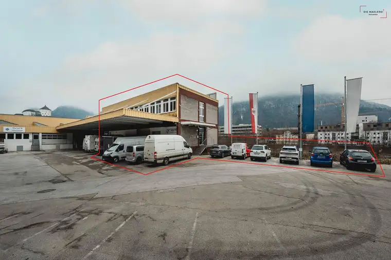 Ardonit Kameri, Die Maklerei Immo GmbH