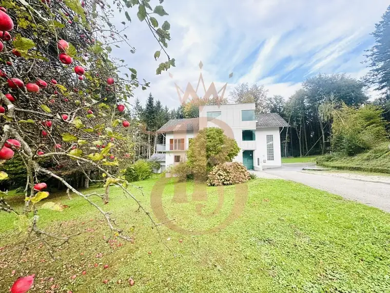 IDYLLISCHES WOHNEN MIT MEHRWERT – 3 Einheiten in traumhafter Lage: 65 -211 m² in Maria Fieberbündel