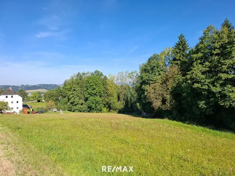 Großes Grundstück in Sankt Martin im Mühlkreis - kein Bauzwang