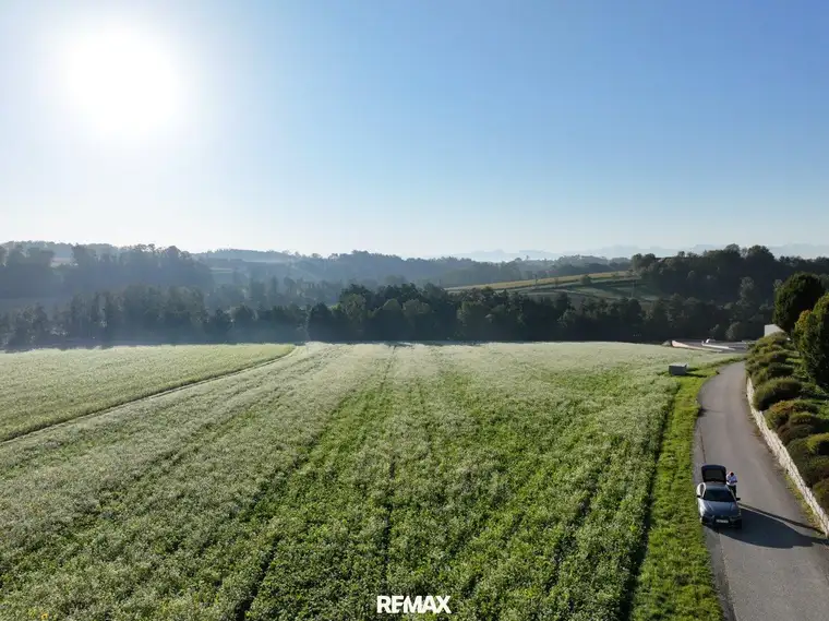 Großes Betriebsbaugrundstück in 4600 Thalheim bei Wels – Top Lage!