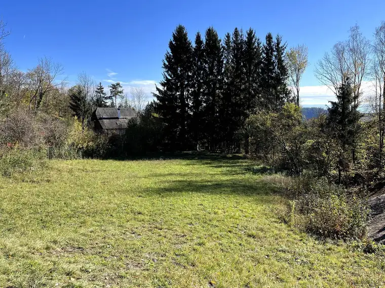 1.590 qm im Landschaftsschutzgebiet am Hohenberg, Gemeinde Stattegg / Graz Umgebung