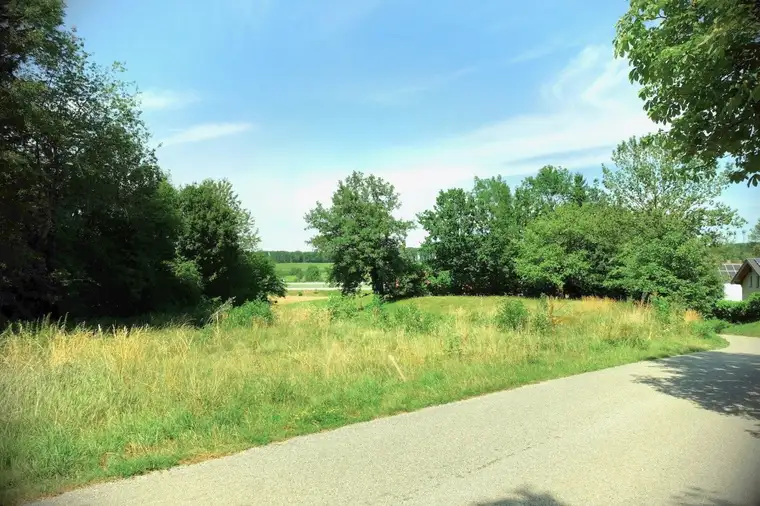 Perfektes Grundstück für ein Einfamilienhaus in Kirchstetten