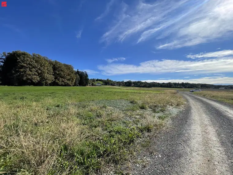 Familiärer Wohntraum mit Grünblick