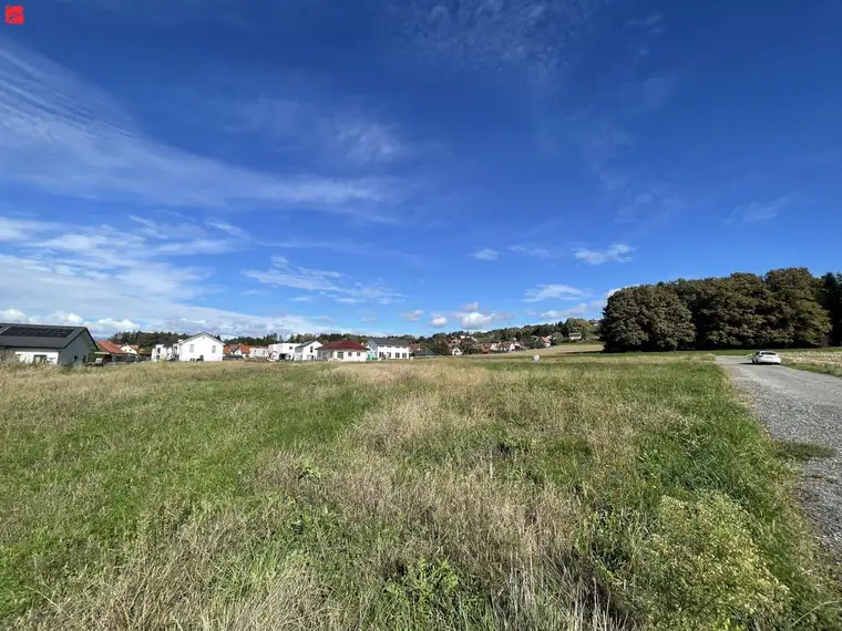 FLACHDACH: Erbauen Sie sich Ihr Traumhaus in malerischer Landschaft